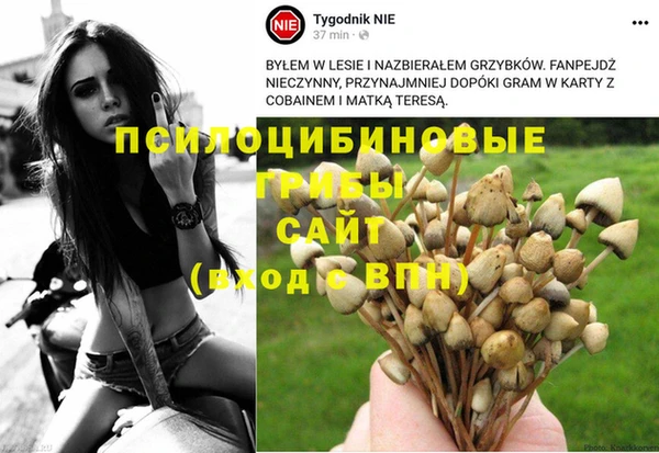 твердый Алзамай