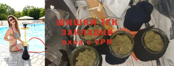 твердый Алзамай