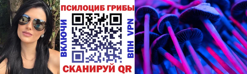 ОМГ ОМГ вход  цены наркотик  Гвардейск  Галлюциногенные грибы мицелий 